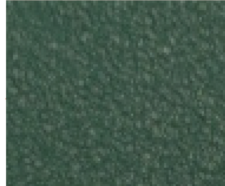 Forest Green Crinkle Swatch