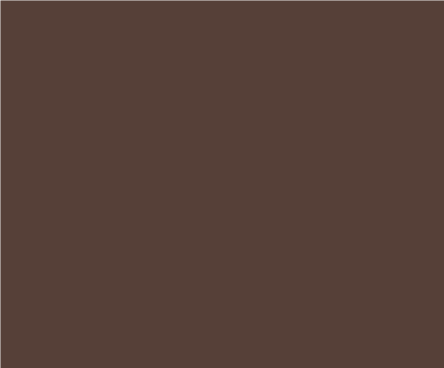 Coca Brown Swatch