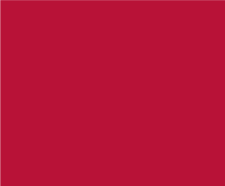 Dark Red Swatch
