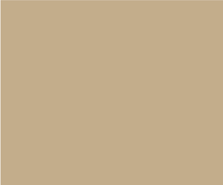 Timber Tan Swatch